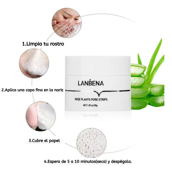 LANBENA-SACA PUNTOS NEGROS