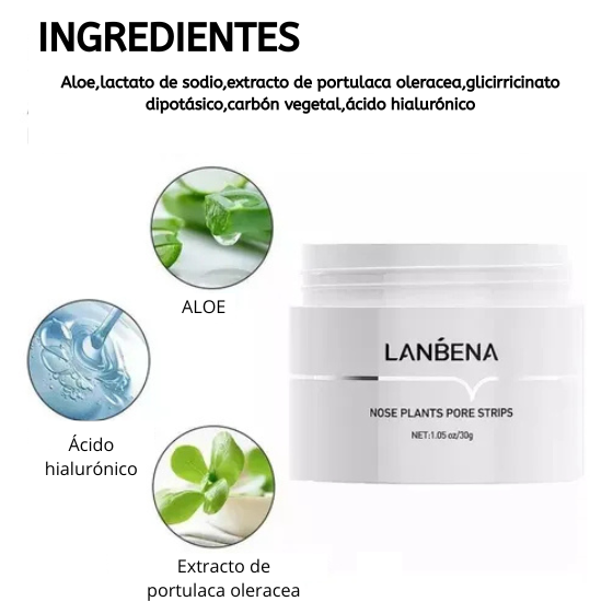 LANBENA-SACA PUNTOS NEGROS