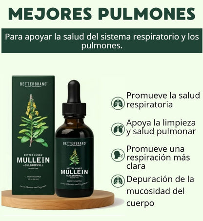 MULLEIN-SALUD PARA TUS PULMONES