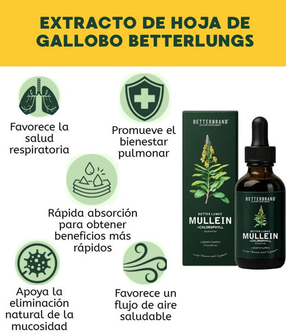 MULLEIN-SALUD PARA TUS PULMONES