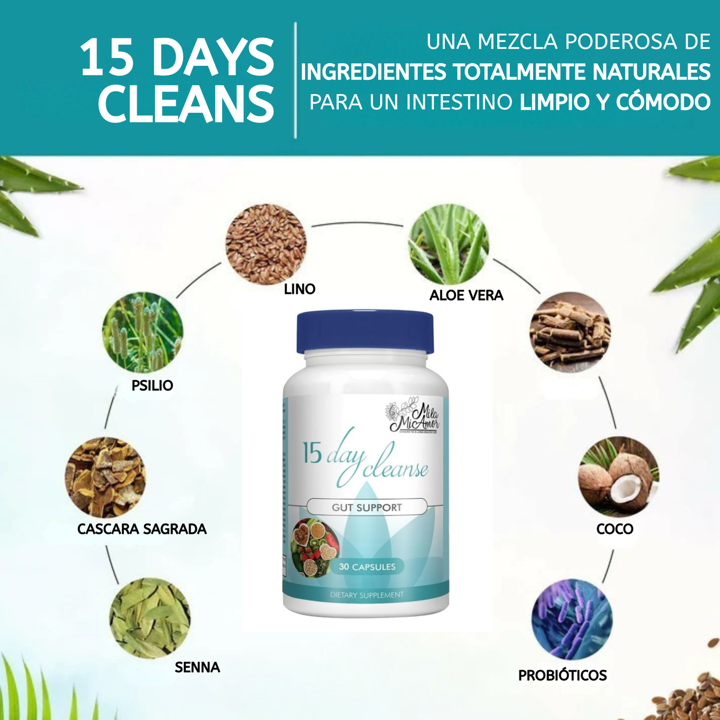 15 DAY CLEANSE- VIDA PARA TU DIGESTIÓN